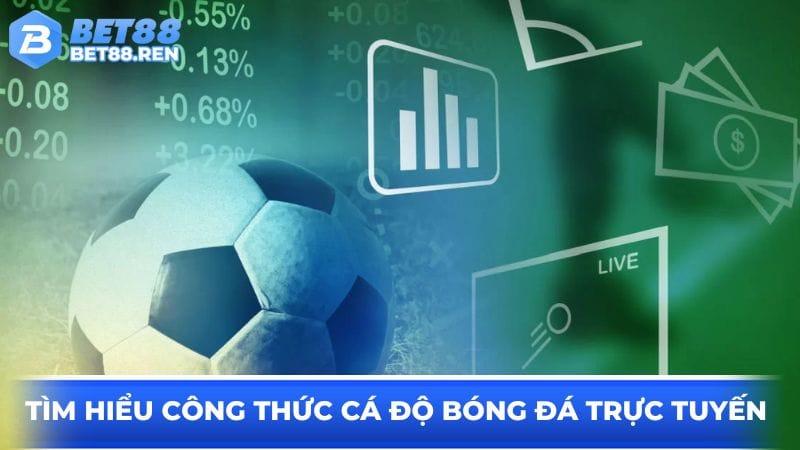 tim-hieu-cong-thuc-ca-do-bong-da-truc-tuyen