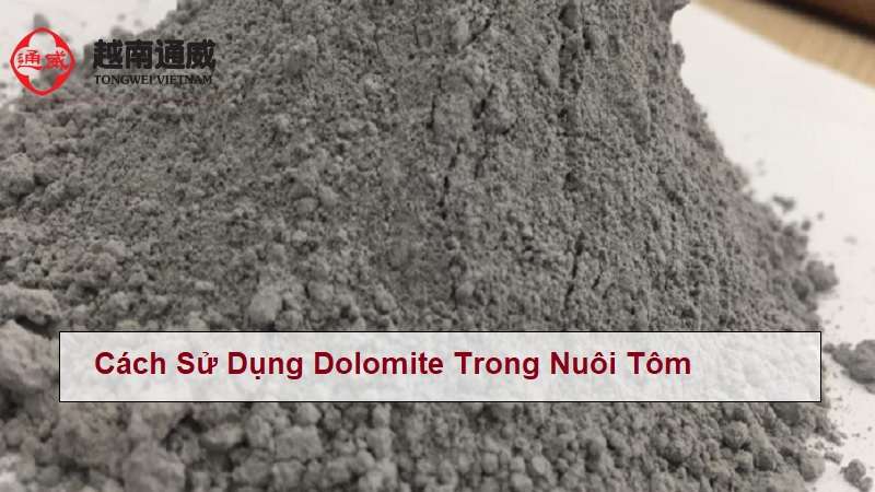 dolomite-co-cong-dung-gi-trong-nuoi-tom-1