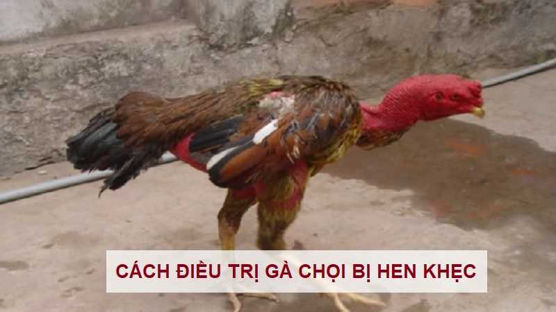 ga-choi-bi-hen-khec-1