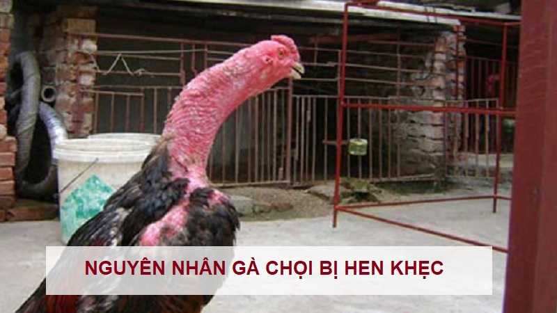 ga-choi-bi-hen-khec