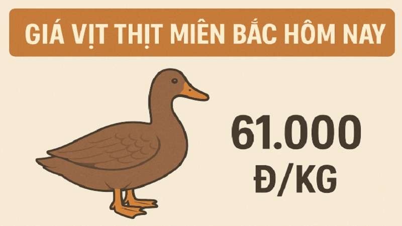 gia-vit-thit-mien-bac-hom-nay-2 gia-vit-thit-mien-bac-hom-nay-2
