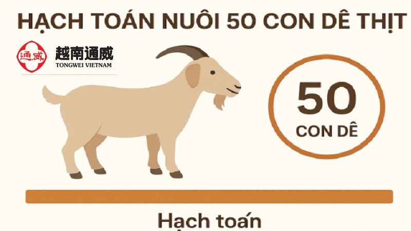 hach-toan-nuoi-50-con-de-thit-1