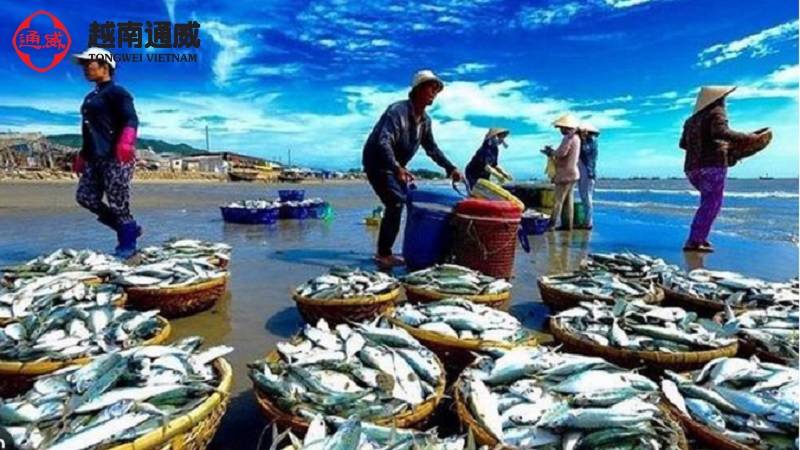 nganh-thuy-san-nuoc-ta-hien-nay-1