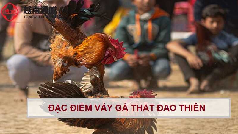 vay-ga-choi-that-dao-thien