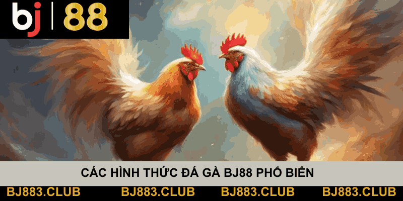 DA-GA-BJ88-3