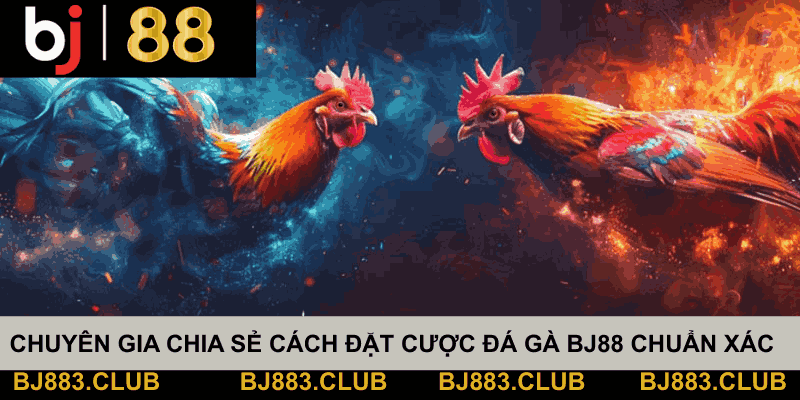 DA-GA-BJ88-4