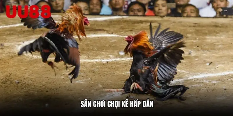 Da-dang-tao-nen-suc-hut