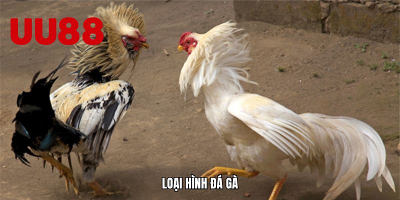 Uu88 - Khám Phá Thế Giới Cờ Bạc Trực Tuyến Đầy Hấp Dẫn