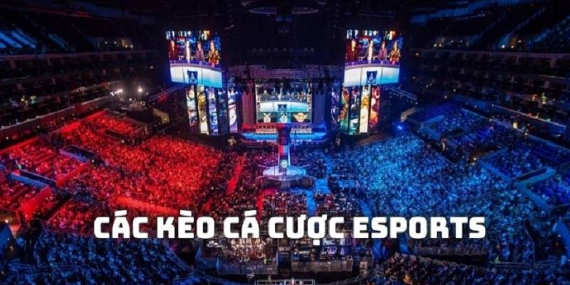 ca-cuoc-esports-c54-the-gioi-keo-game-1
