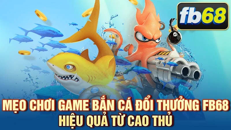 chien-thuat-ban-ca-tiet-kiem-dan-nhung-trung-lon