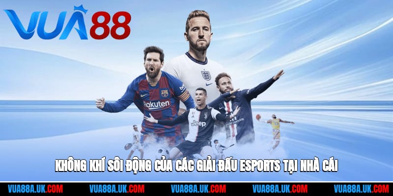 khong-khi-soi-dong-cua-cac-giai-dau-esports-tai-nha-cai-2