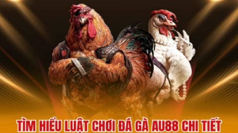meo-nuoi-chuoi-thang-da-ga-au88-2