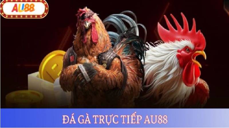 meo-nuoi-chuoi-thang-da-ga-au88
