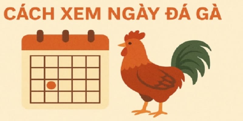 xem-ngay-da-ga-chuan-phong-thuy-1