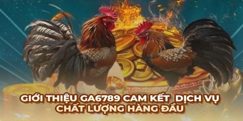 so-sanh-da-ga-campuchia-tai-ga6789-va-cac-san-khac