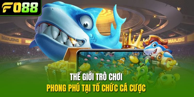 the-gioi-tro-choi-phong-phu-tai-to-chuc-ca-cuoc