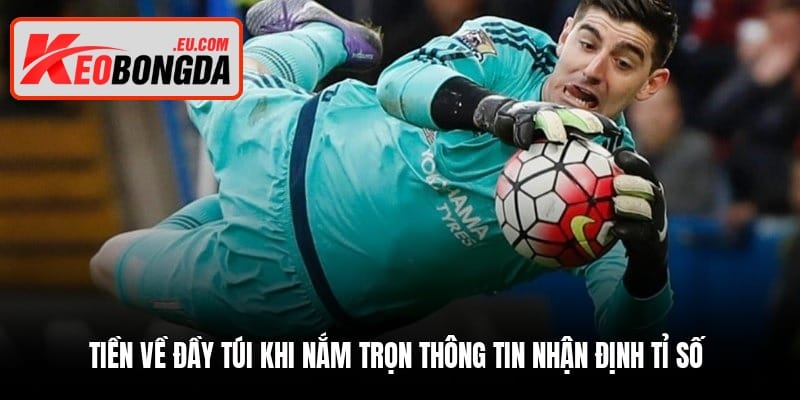 tien-ve-day-tui-khi-nam-tron-thong-tin-nhan-dinh-ti-so