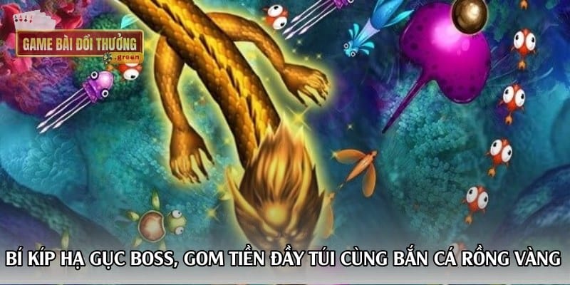 bi-kip-ha-guc-boss-gom-tien-day-tui-cung-ban-ca-rong-vang