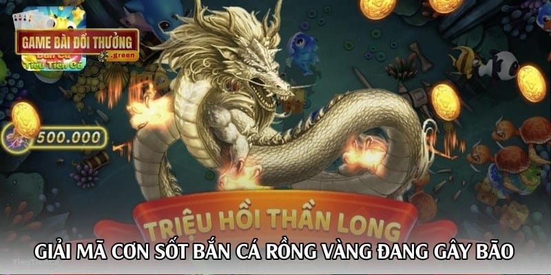 giai-ma-con-sot-ban-ca-rong-vang-dang-gay-bao