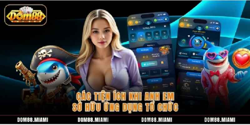 tai-app-dom88-cai-dat-ung-dung-1
