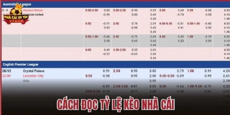 ty-le-keo-nha-cai-huong-dan-1
