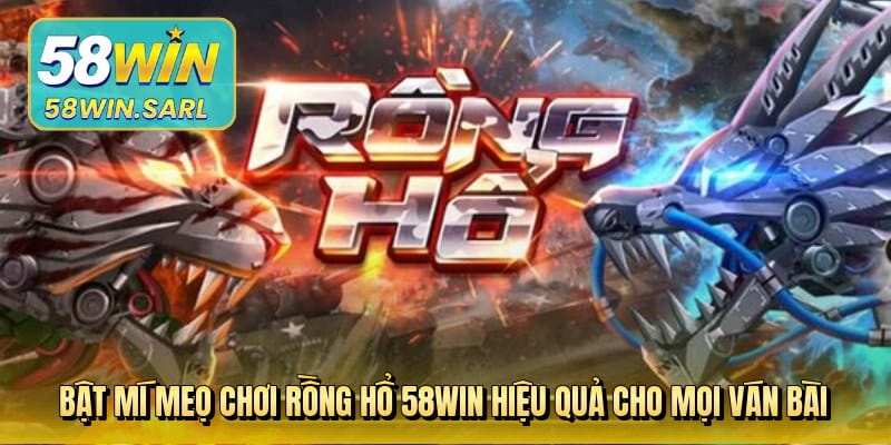 bat-mi-meo-choi-rong-ho-58win-hieu-qua-cho-moi-van-bai