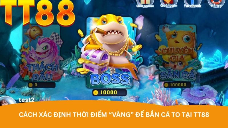 cach-xac-dinh-thoi-diem-vang-de-ban-ca-to-tai-tt88