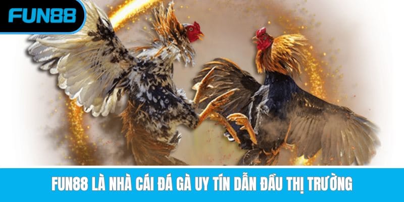 fun88-la-nha-cai-da-ga-uy-tin-dan-dau-thi-truong
