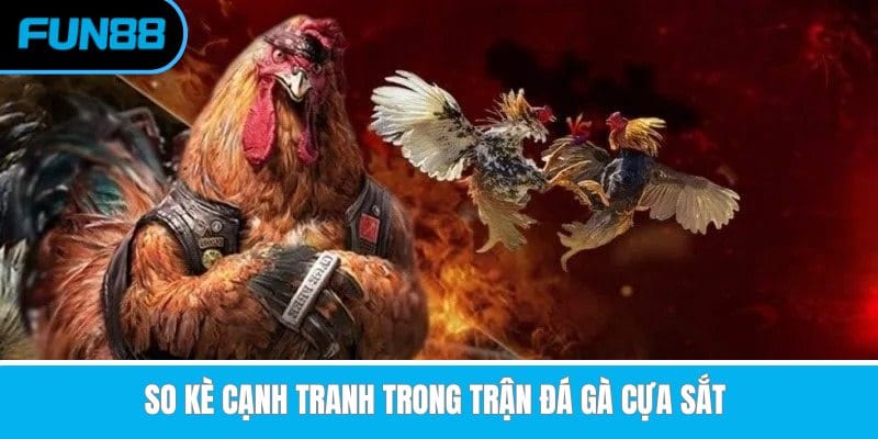 so-ke-canh-tranh-trong-tran-da-ga-cua-sat