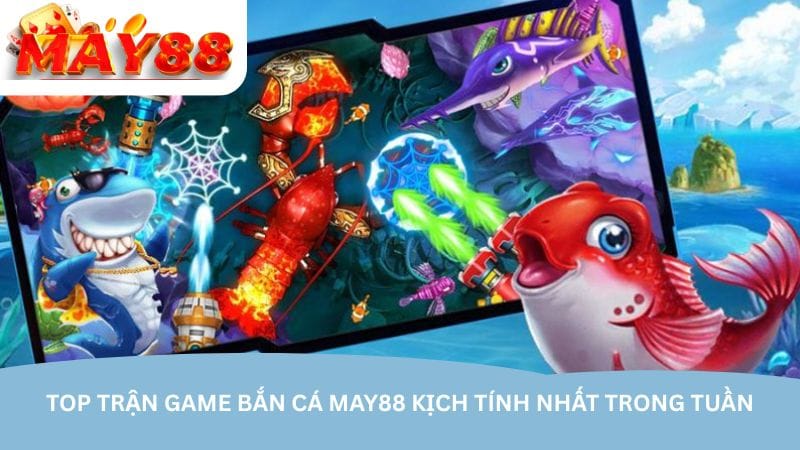top-tran-game-ban-ca-may88-kich-tinh-nhat-trong-tuan