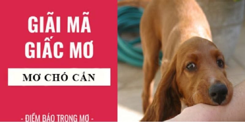 mo-bi-cho-can-danh-so-gi-1