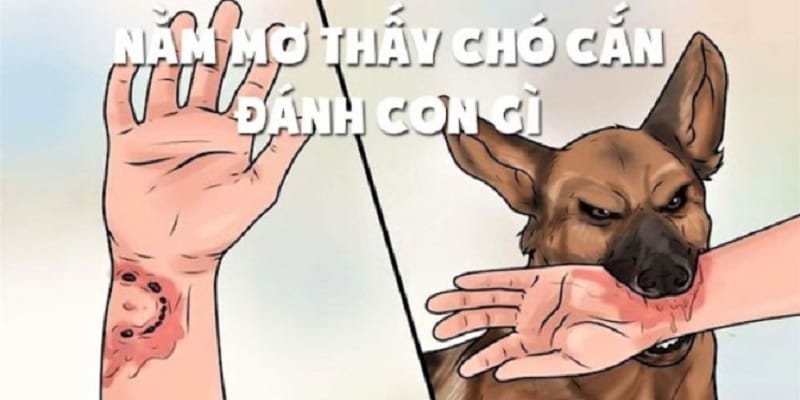 mo-bi-cho-can-danh-so-gi