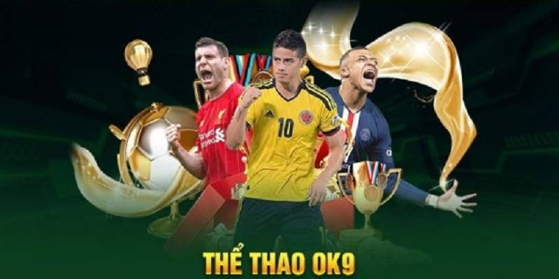 the-thao-ok9-cach-loc-giai-chon