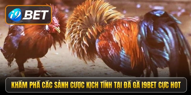 kham-pha-cac-sanh-cuoc-kich-tinh-tai-da-ga-i9bet-cuc-hot