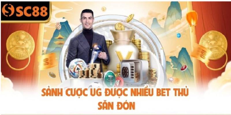 tong-quan-ve-the-thao-sc88-1