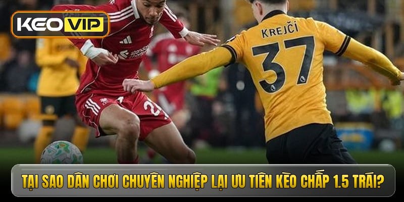 tai-sao-dan-choi-chuyen-nghiep-lai-uu-tien-keo-chap-15-trai