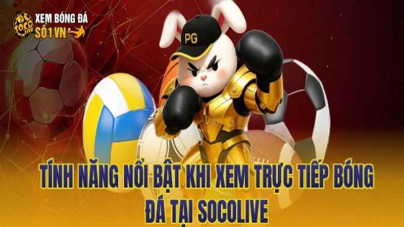 xem-bong-da-socolive-cung-nhung-tran-cau-2